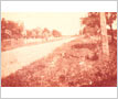 Centre Road (Hwy 10), Cooksville