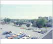 Confederation Parkway, Cooksville