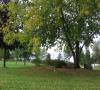 Albert McBride Park 