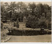 Greenwood Garden, Clarkson