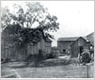 Richard Proctor's Barn and Tractor