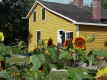 Bradley Museum--a piece of country in the heart of the City--is part of the Museums of Mississauga