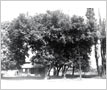 Price Homestead, Cooksville