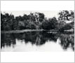 Brunskill�s Pond, Cooksville