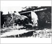 CPR Trestle Cooksville