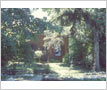 Abigail Street House, Streetsville