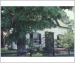 Apple Tree Inn / Laine Residence, Meadowvale Village