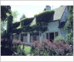 Blue Dragon Inn, Clarkson