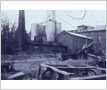 McCarthy Milling Company, Streetsville