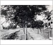 Centre Road, Port Credit