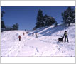Mississaugua Golf and Country Club, Skiing
