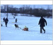 Mississaugua Golf and Country Club, Sledding