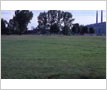 A. E. Crookes Park, Lakeview