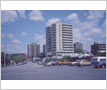 Marco Polo Hotel, Port Credit
