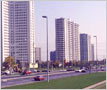 Shipp Corporation, City Centre