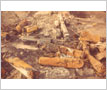 Mississauga Train Derailment, November 10, 1979, Cooksville
