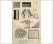 Annual Presents to Nahneetis