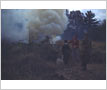 Battersby Property, Lorne Park, Bonfire