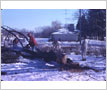 Battersby Property, Lorne Park, Tree Removal