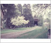 Battersby House, Lorne Park, Barn