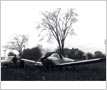 1946 Erco 415-C Emergency Landing