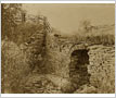 Silverthorn Mill Ruins, Summerville