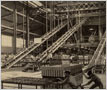 Cooksville Brick and Tile Company