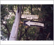 Leslieville Street Sign