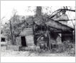 Cherry Hill House, Dixie