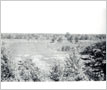 Cooksville View