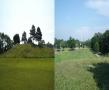 Brookmede Hill