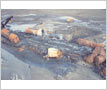 Mississauga Train Derailment, November 11, 1979, Cooksville