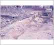 View of the Area After the Malton Gas Fire, 1969