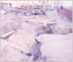 After effects of the Malton Gas Fire, 1969