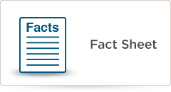 Facts on Mississauga�s BRT Project&nbsp;&nbsp;