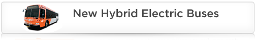 Hybrid Electric Buses