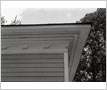 Robinson-Adamson House (The Grange), Cornice, Erindale