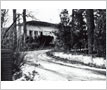 Dr. Dixie's House, Erindale