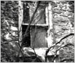 Irwin House, Window, Meadowvale