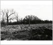 Doherty House Site, Malton