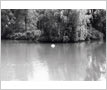 Gairdner Estate, Pond, Clarkson