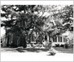 James O'Neil House, Erindale