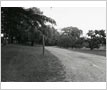 Pinchin Farm, Driveway, Streetsville
