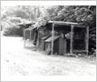 Riverwood, Dog Kennel, Erindale