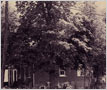 Gvirtzman Residence, Streetsville