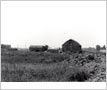Albertson Barn, Erindale