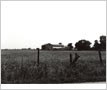 Scrub Pine Investments, Barn, Lisgar, Meadowvale