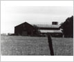Scrub Pine Investments, Barn, Lisgar, Meadowvale