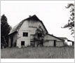 Britannia Poultry Barn, Hurontario/Eglinton