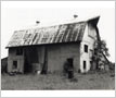 Britannia Poultry Barn, Hurontario/Eglinton